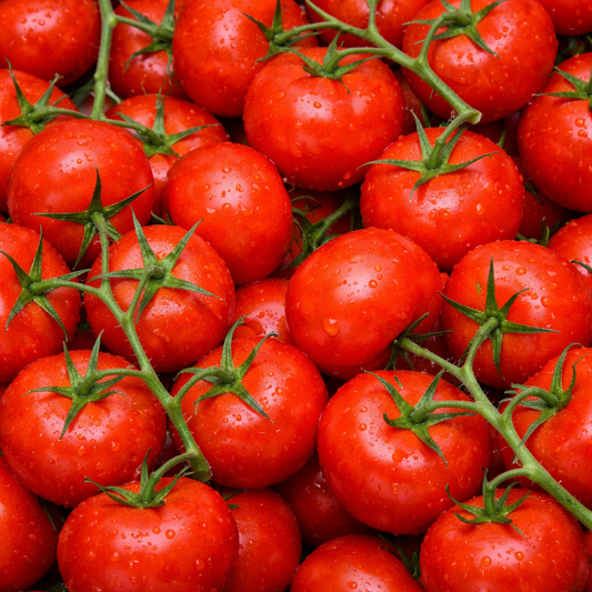 TOMATE POUR +/- 100gr