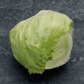 ICEBERG