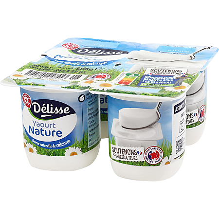 DELISSE YAOURT NATURE DE 4X125GR