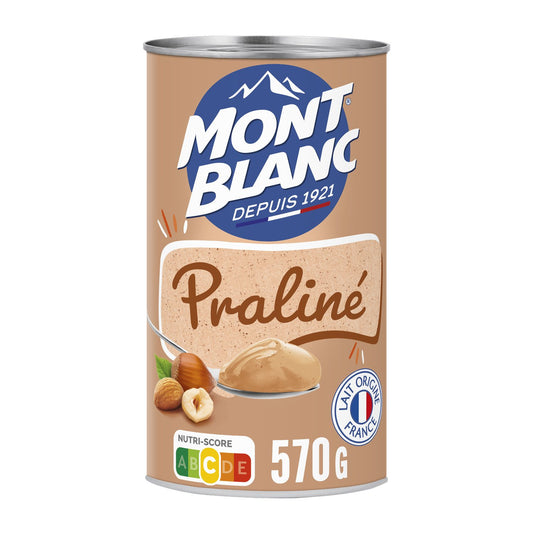 Crème dessert Mont Blanc Boîte Praliné - 570g
