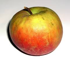 POMME BOSKOOP de +/- 100gr