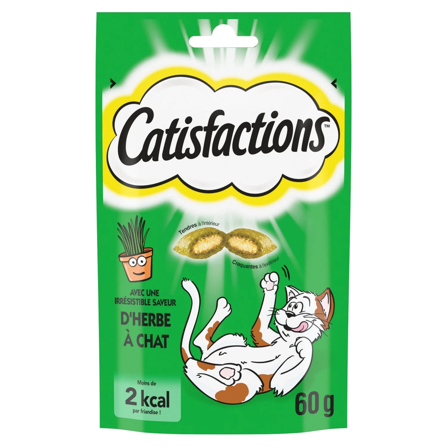 CATISFACTIONS SAVEUR HERBE DE CHAT