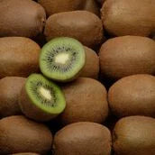 kiwi vert a la piéce