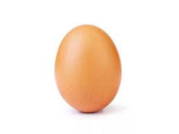 OEUF de ferme